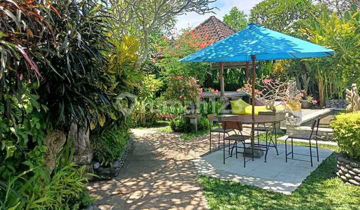 Villa for rent good place for stay 19