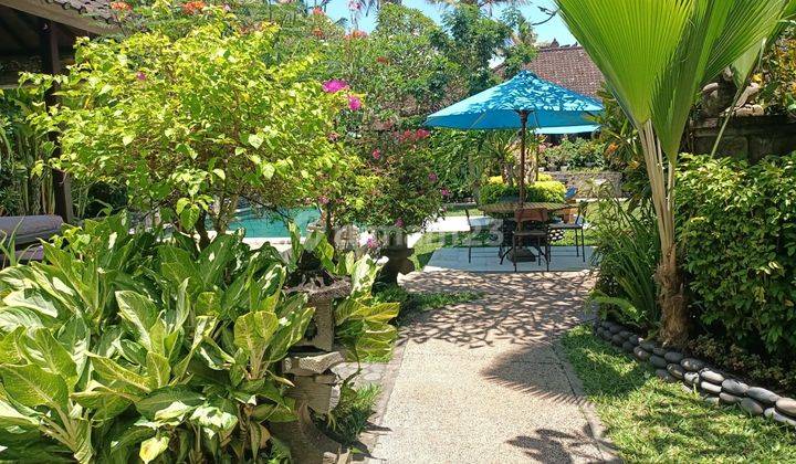 Villa for rent walking to the beach 3 minute 12