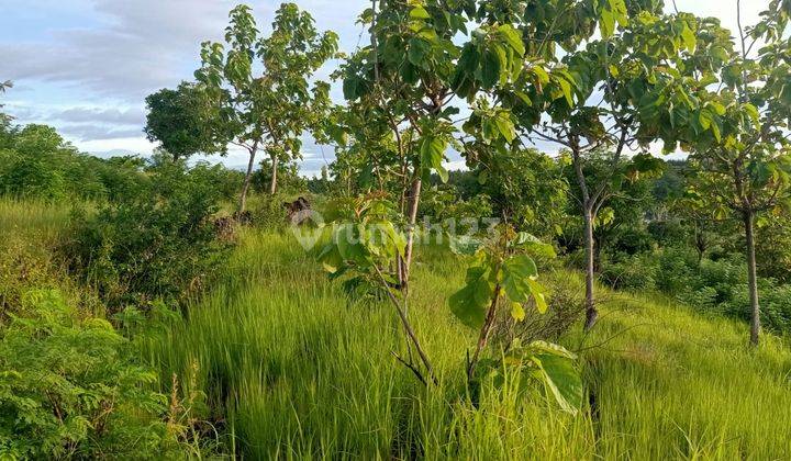 Land for sale cliff view 2