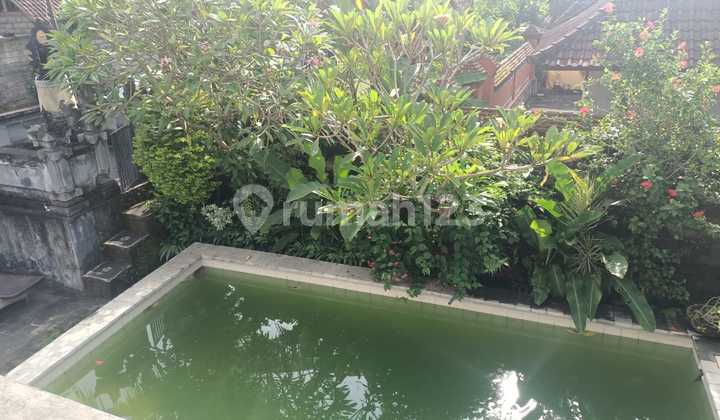 House for rent saba beach 4