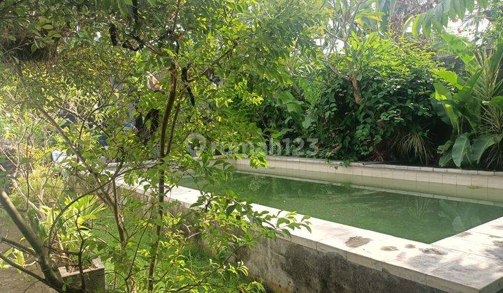 House for rent saba beach 10