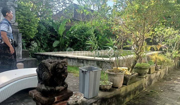 House for rent saba beach 15