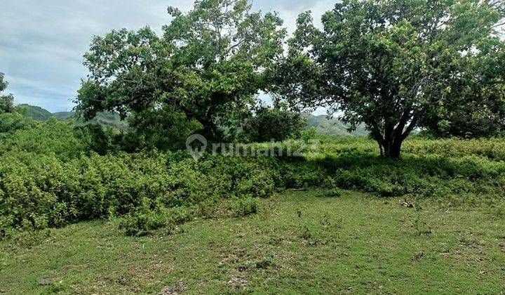 Land For Sale Cliff Nusa Penida 22