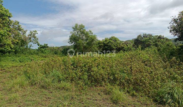 Land For Sale Cliff Nusa Penida 26