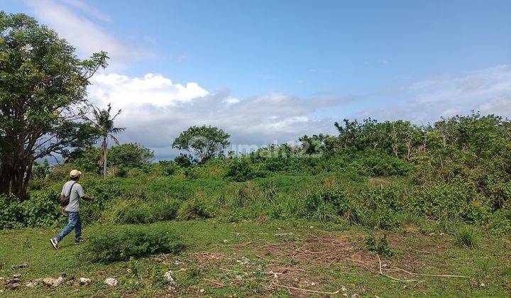 Land For Sale Cliff Nusa Penida 83
