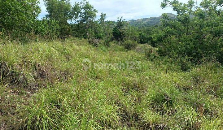 Land For Sale Cliff Nusa Penida 33