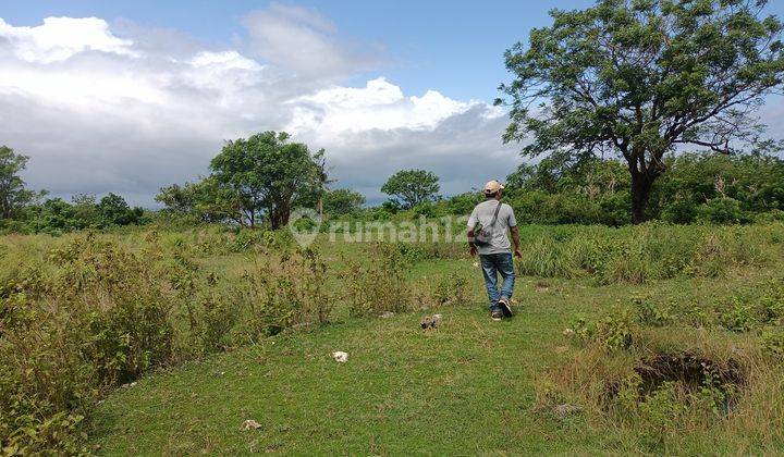 Land For Sale Cliff Nusa Penida 75