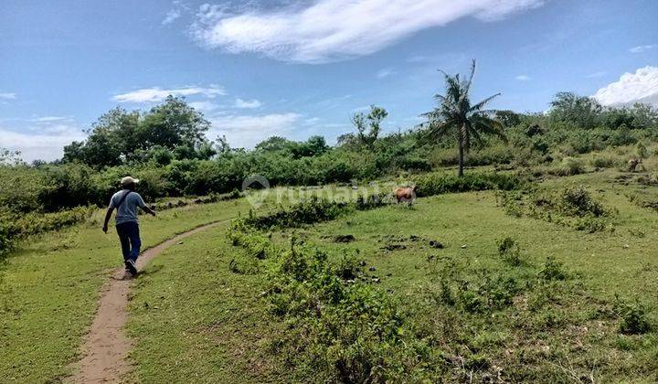 Land For Sale Cliff Nusa Penida 58
