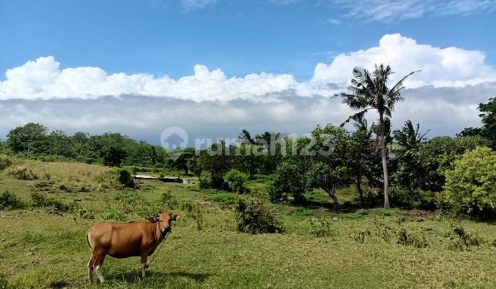 Land For Sale Cliff Nusa Penida 65