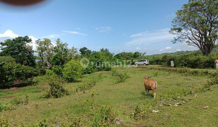 Land For Sale Cliff Nusa Penida 68