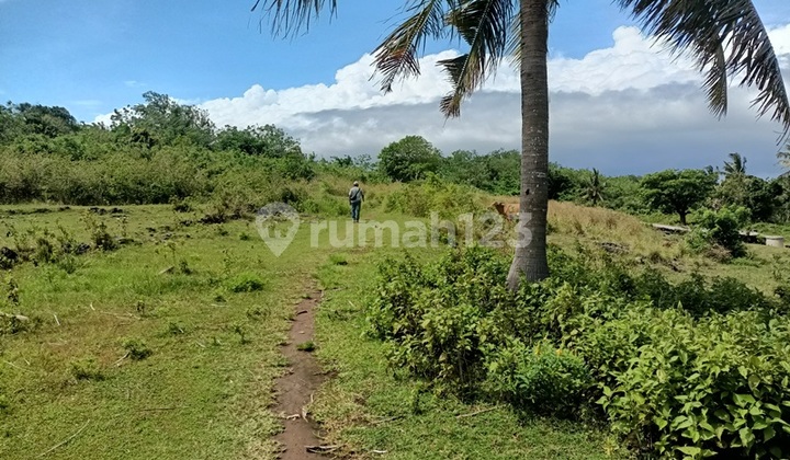 Land For Sale Cliff Nusa Penida 70