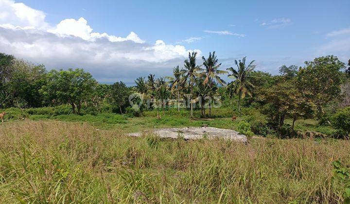 Land For Sale Cliff Nusa Penida 74