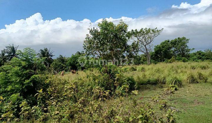 Land For Sale Cliff Nusa Penida 78