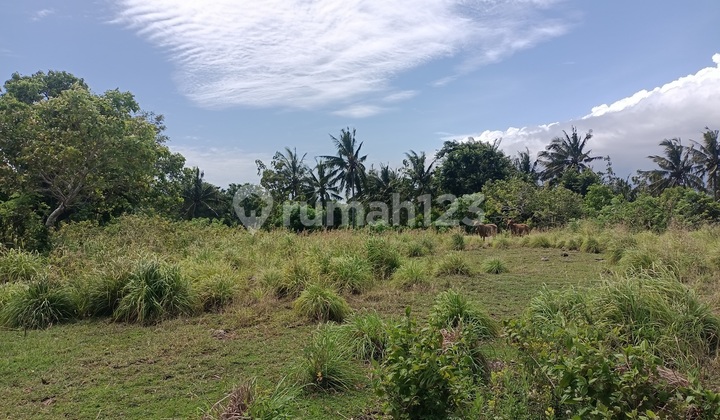 Land For Sale Cliff Nusa Penida 81
