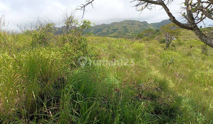 Land For Sale Cliff Nusa Penida 89