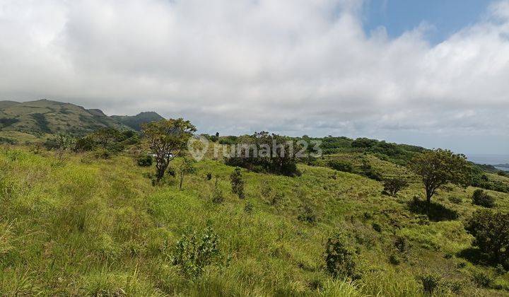 Land For Sale Cliff Nusa Penida 91