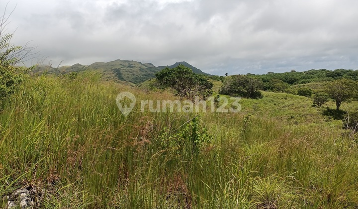 Land For Sale Cliff Nusa Penida 101