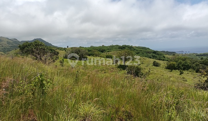 Land For Sale Cliff Nusa Penida 100