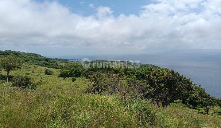 Land For Sale Cliff Nusa Penida 102