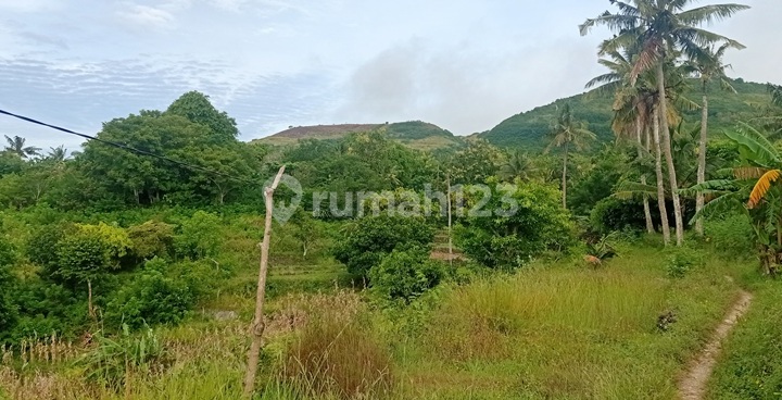 Land For Lease Nusa Penida 