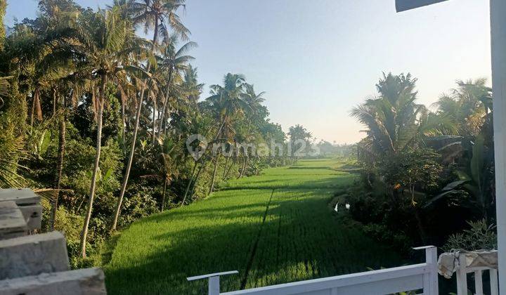 House for sale central of bali 1