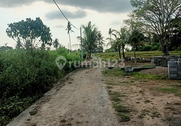 Villa di Jual Cepat Status Hak Sewa Villa di Jual Cepat Status Hak Sewa