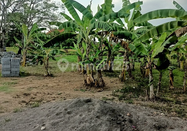 Villa di Jual Cepat Status Hak Sewa 2