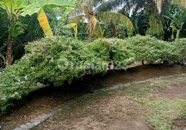 Villa Big Garden Lease Hold 2