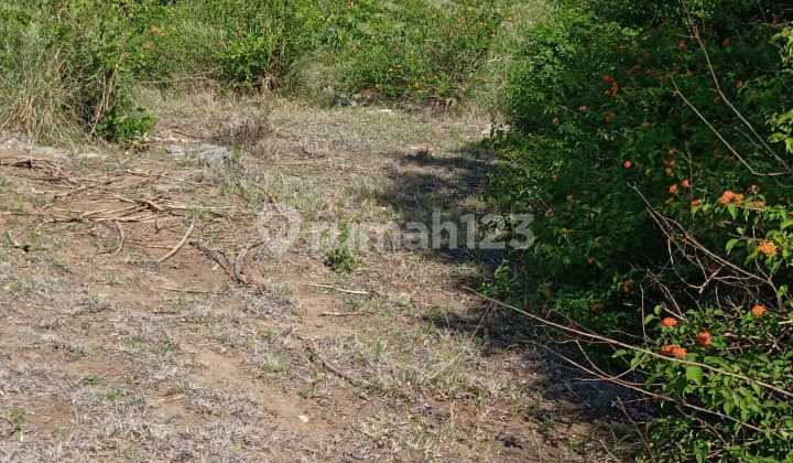 Nusa Penida Land For Sale