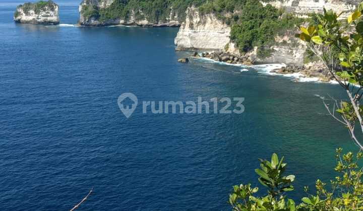 Lad For Rent Nusa Penida Cliff 