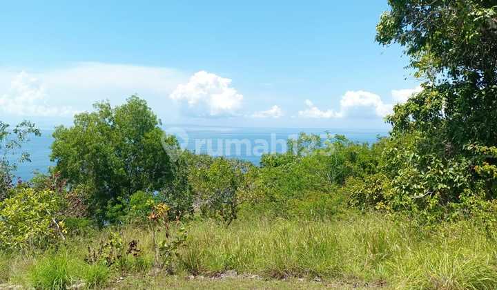 Land For Rent Nusa Penida Cliff Land For Rent Nusa Penida Cliff