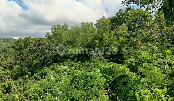 Land For Rent Cliff Nusa Penida Bali Land For Rent Cliff Nusa Penida Bali