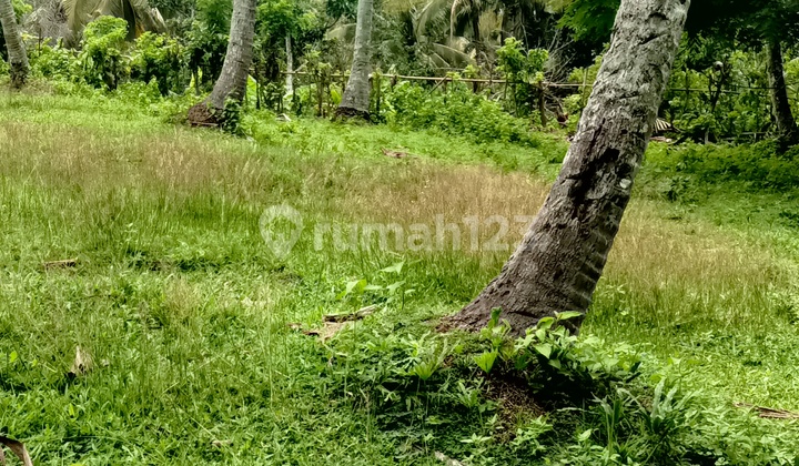 Land For Sale Good For Villa And Hotel 2