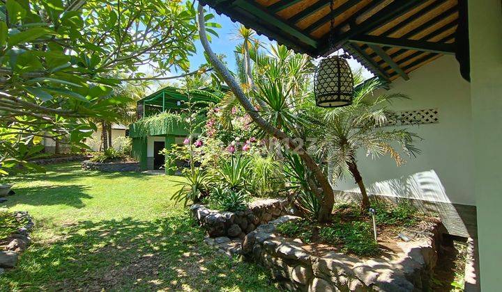 Villa  Ubud Bali 28 Years Available 2