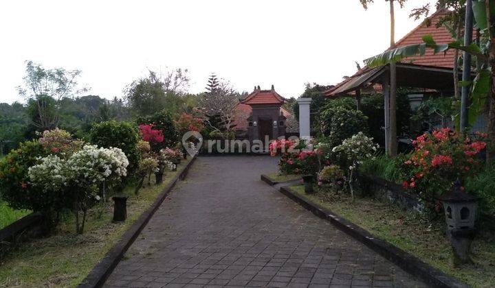 Villa ubud bali big land 1