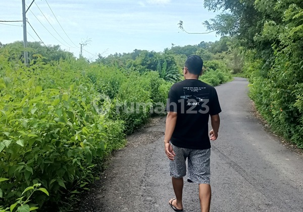 Land For Sale Nusa Penida 