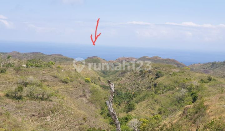 Land for sale nusa penida