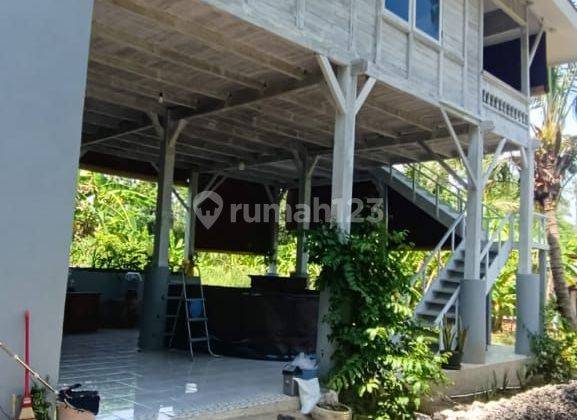 House for rent quite area and nature so many coconut tree 2