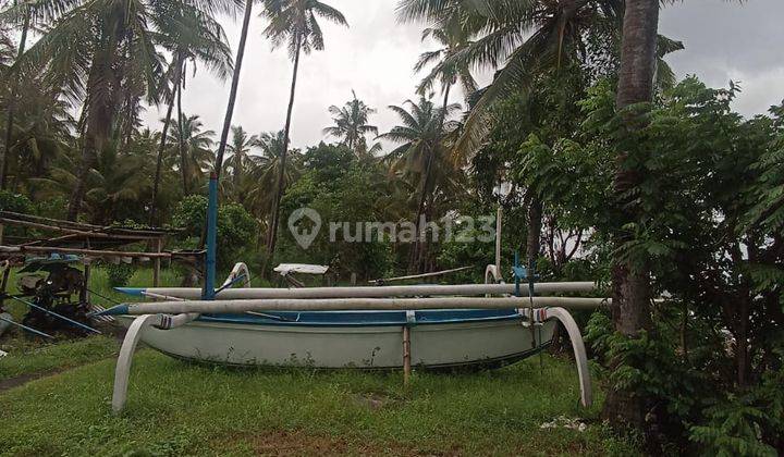Land For Sale North Bali 2