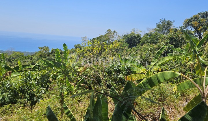 Land for rent. Suitable for villa.