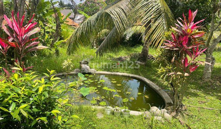 Big Land House For Rent Ubud Bali 1