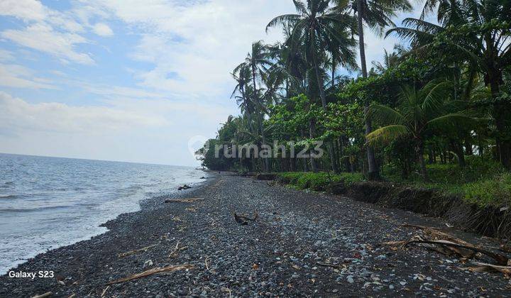 land beach front 1