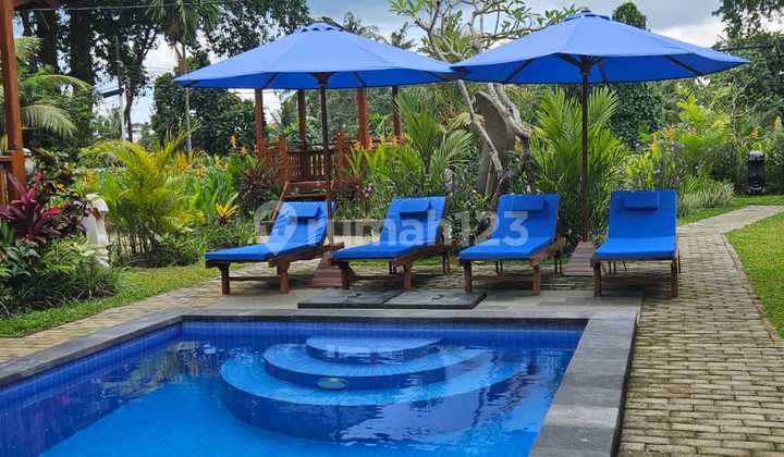 wooden house for sale wooden house for sale