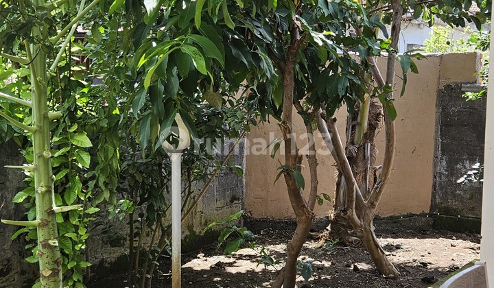 Rumah Kayu untuk Disewa Jangka Panjang di Kawasan yang Bagus