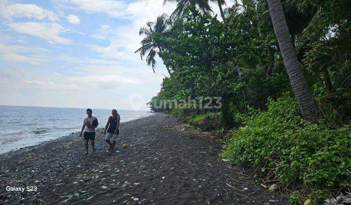 Land For Rent Noth Bali 2