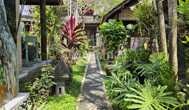 House For Rent House For Rent