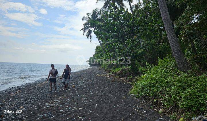 land for rent beach front 2