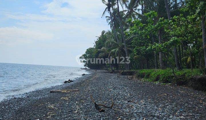 land beach front 2