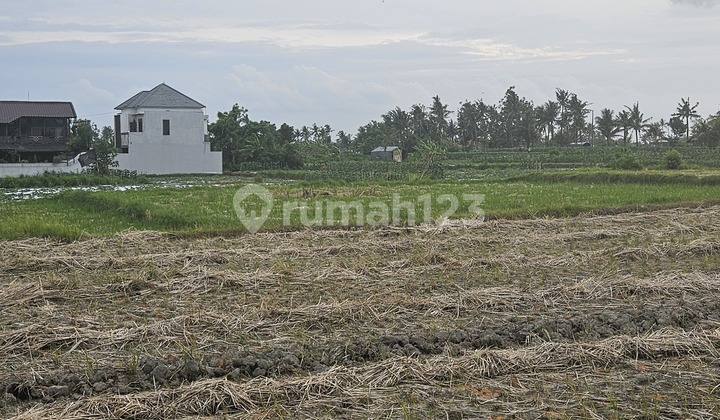 Tanah Disewa Ubud Selatan. Vila Bagus