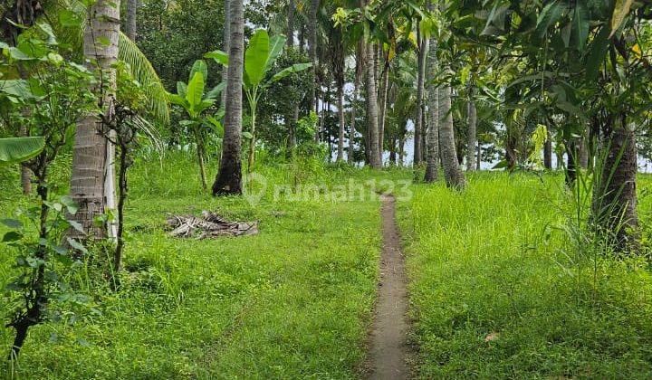 land for sale beach front 1